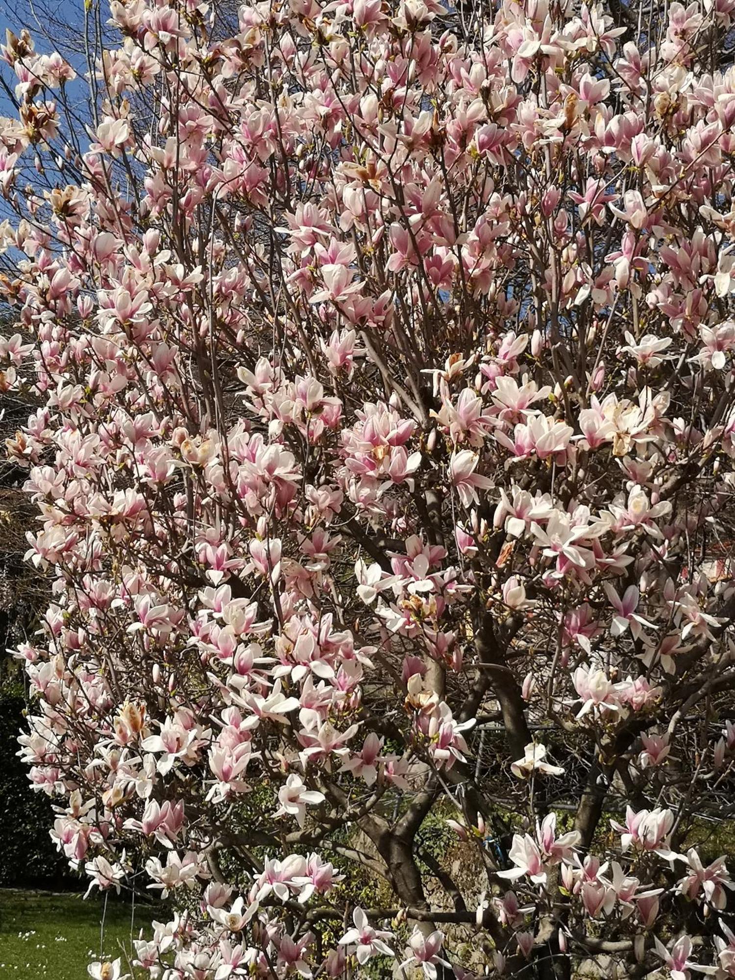 فيلا Casa Vacanze Le Violette بروناتي المظهر الخارجي الصورة
