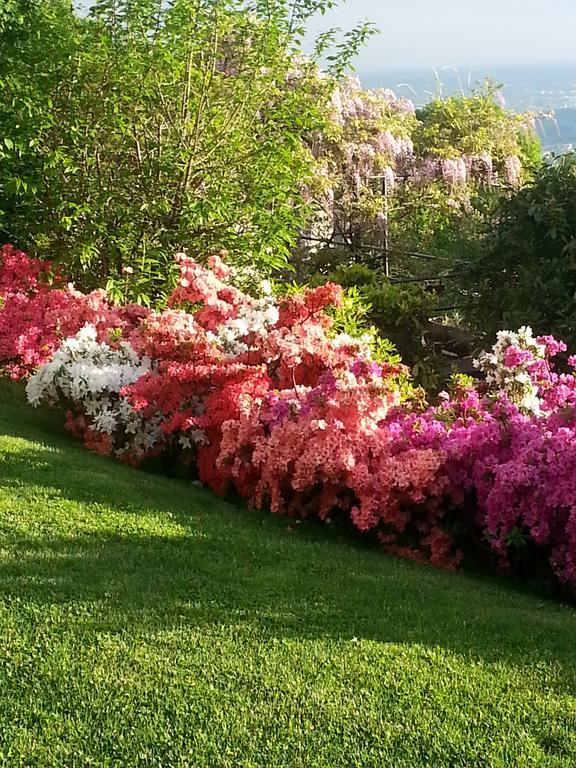 فيلا Casa Vacanze Le Violette بروناتي المظهر الخارجي الصورة