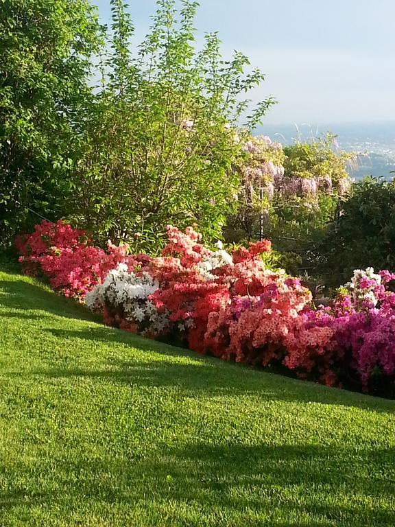 فيلا Casa Vacanze Le Violette بروناتي المظهر الخارجي الصورة