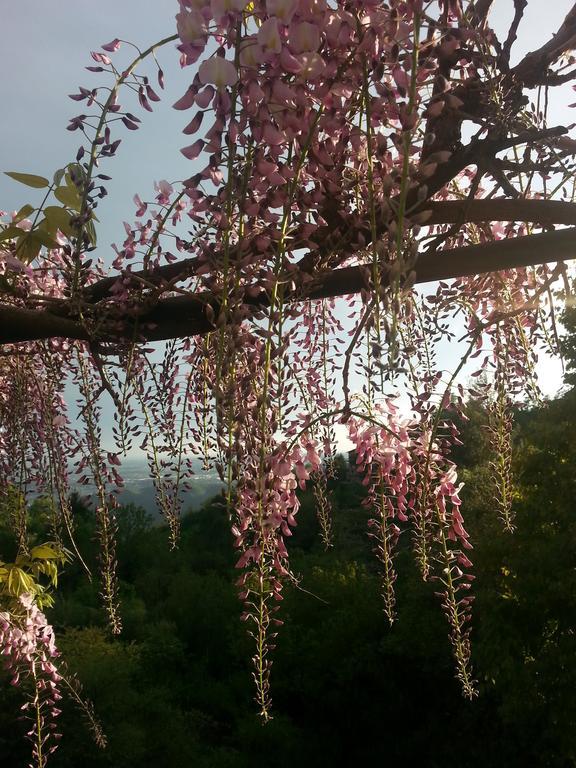 فيلا Casa Vacanze Le Violette بروناتي المظهر الخارجي الصورة